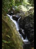 Mayflower National Park Belize 2020
